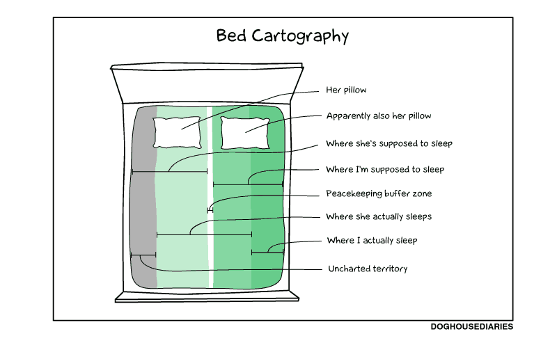 Bed Cartography
