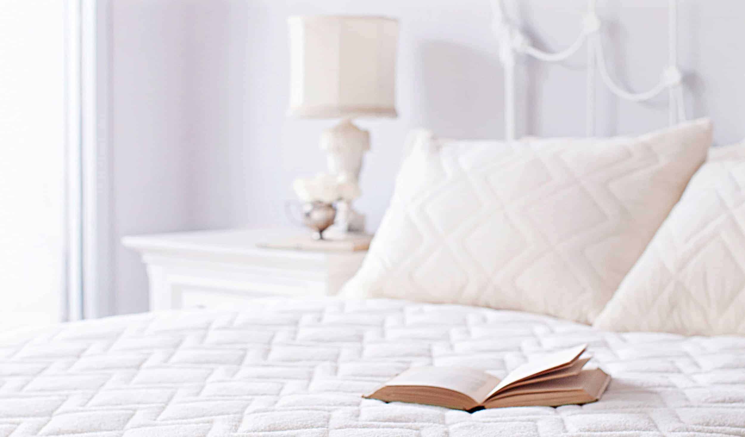 st dormeir mattress protector review