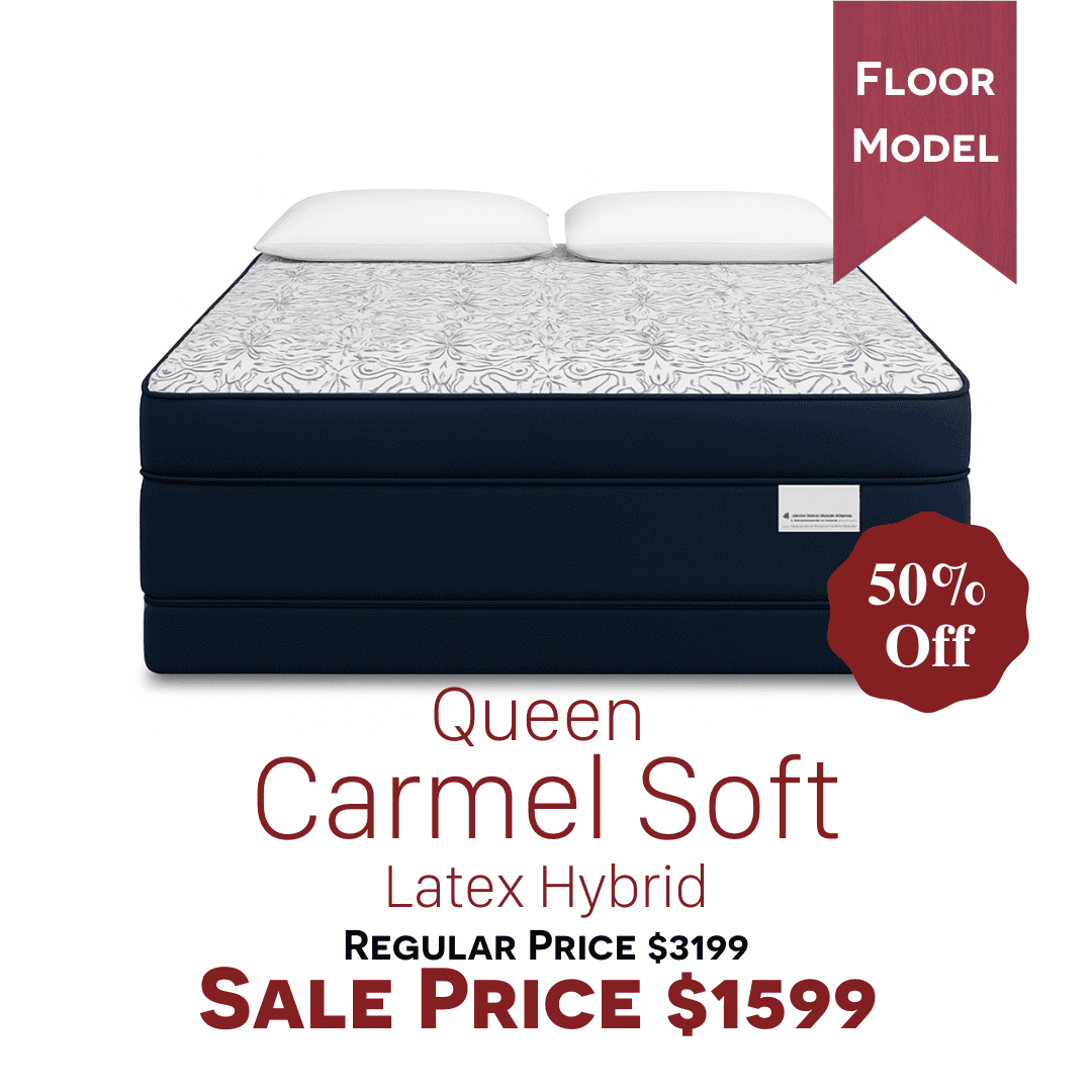 Carmel Soft-Floor Model